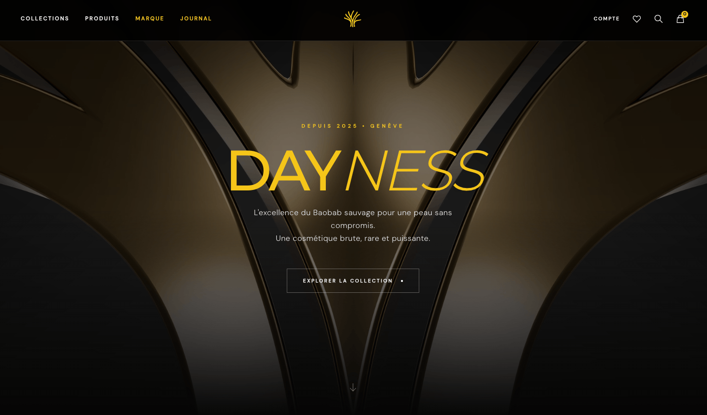 Day Ness Cosmetics | Site e-commerce  - Image 1