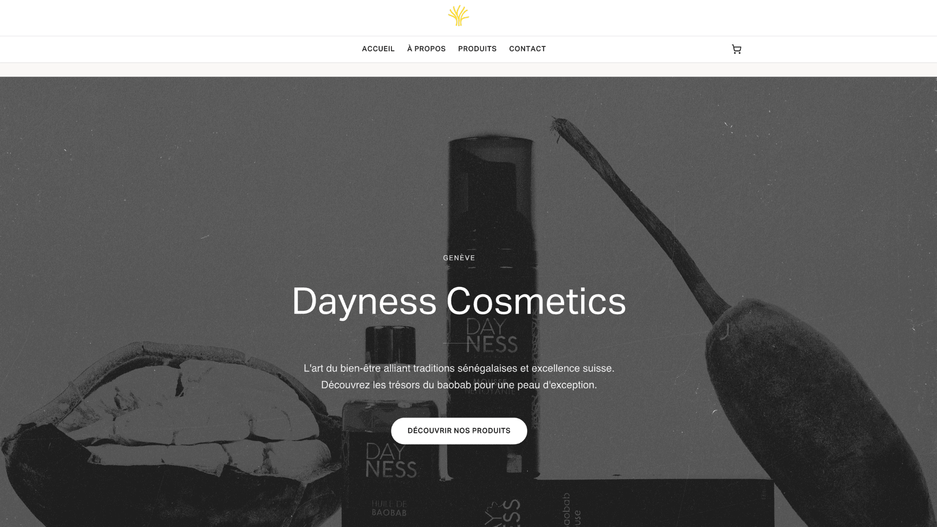 Dayness Cosmetics Preview