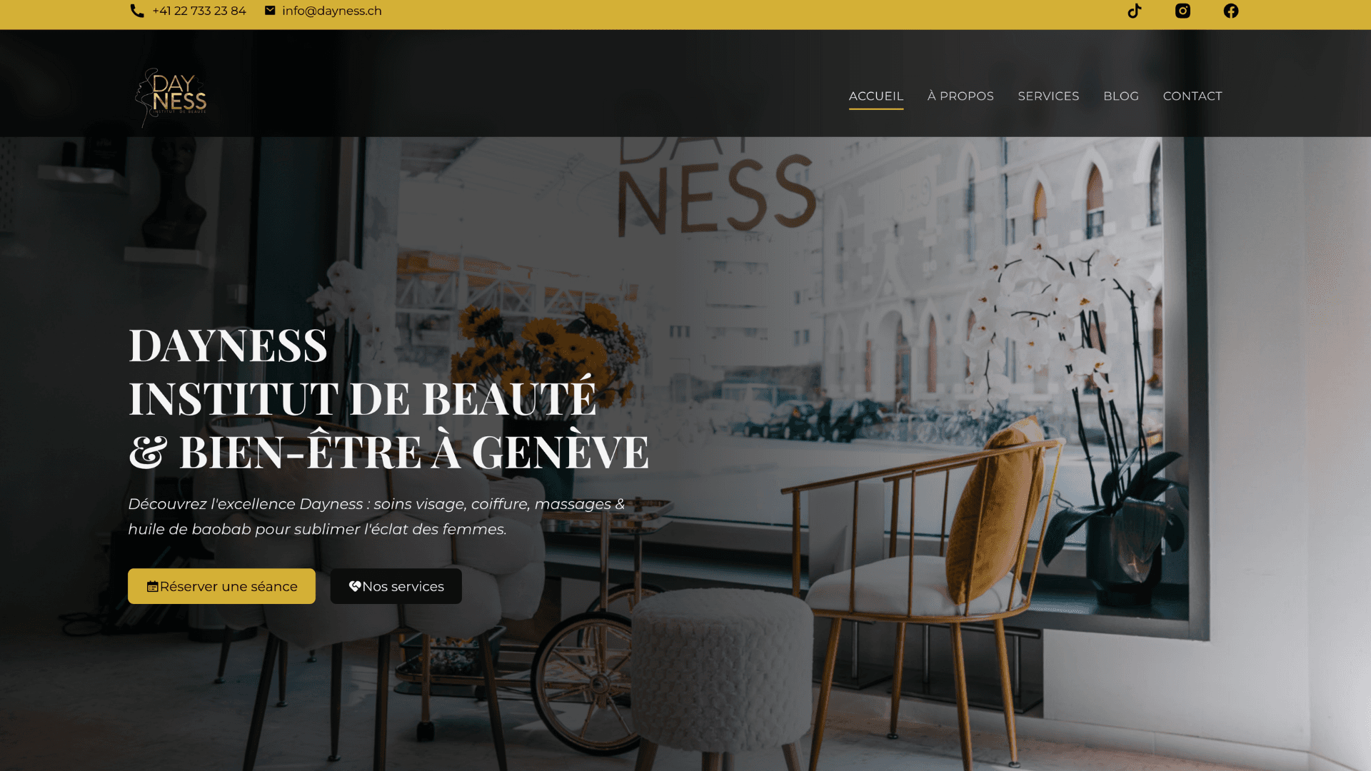 Dayness Institut Preview